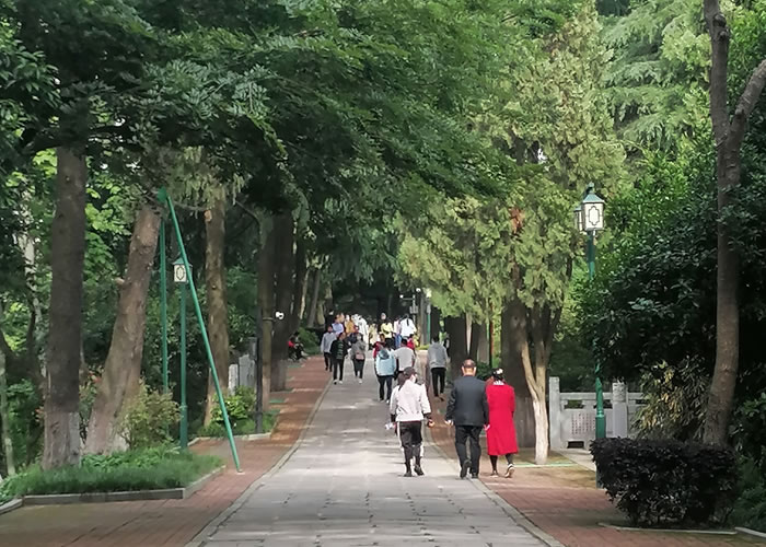 山脊景观道