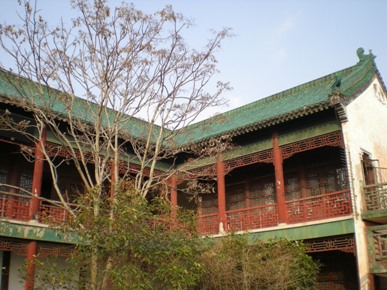 200958112451234.jpg