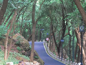 2022年度武汉市龟山风景管理处部门决算公开